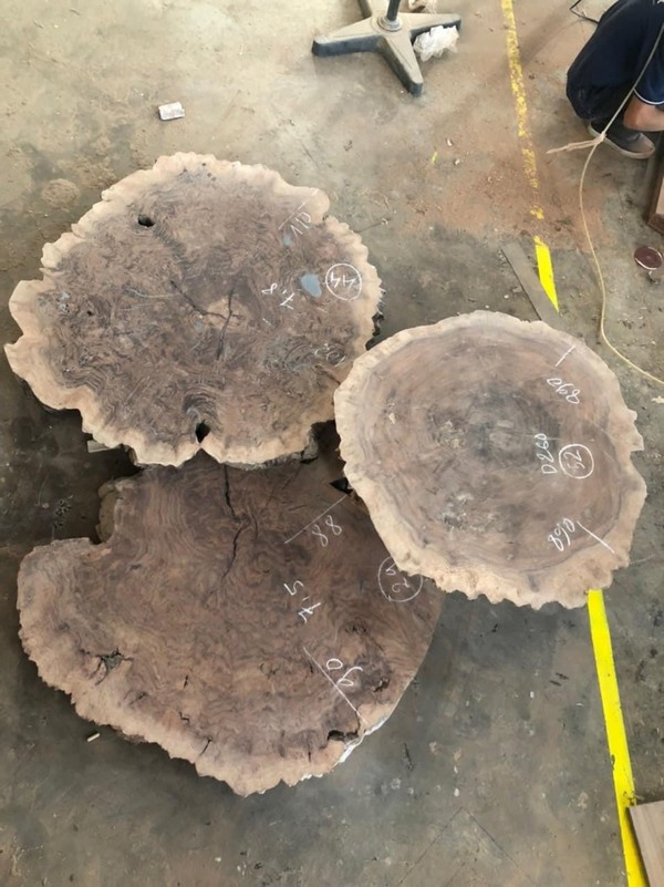 Báo giá phòng bếp gỗ óc chó